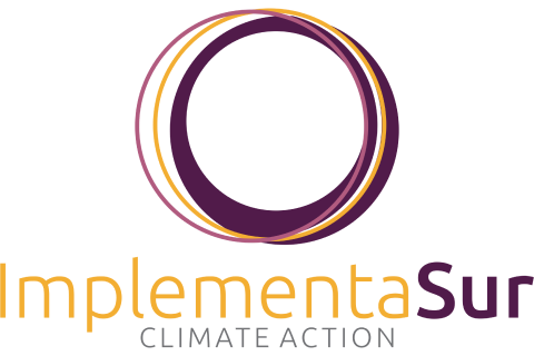  ImplementaSur logo.